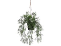 Mica Decorations függő aszparágusz műnövény 40 cm x 20 cm zöld