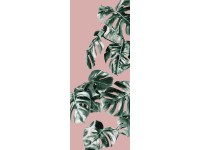 Komar vlies fotótapéta Monstera Rosé Panel 100 cm x 250 cm