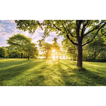 Komar vlies fotótapéta Golden Moment 400 cm x 250 cm