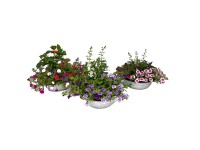 Nyári növényválogatás cinkcserépben cserépátmérő kb. 29 cm