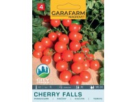 Paradicsom Cherry Falls 6 Mag