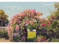 Komar fotótapéta Rose Garden 368 cm x 254 cm FSC Komar fotótapéta Rose Garden 368 cm x 254 cm FSC