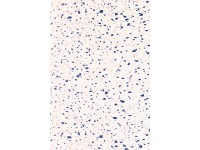 d-c-fix öntapadó fólia Terrazzo Neo szélesség 67,5 cm - méteráru d-c-fix öntapadó fólia Terrazzo Neo szélesség 67,5 cm - méteráru