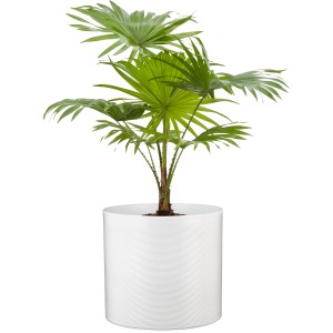 Scheurich virágcserép 828, Ø 16 cm, Panna, finom vízszintes barázdákkal, beltéri használatra.