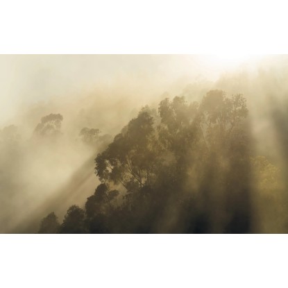Komar vlies fotótapéta Misty Mountain 400 cm x 250 cm