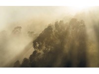 Komar vlies fotótapéta Misty Mountain 400 cm x 250 cm