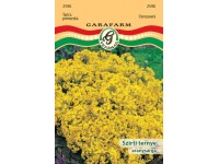 Szirtiternye aranysárga vetőmag