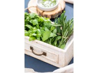 Naturfreund fűszernövény mix fali dísz Naturfreund fűszernövény mix fali dísz