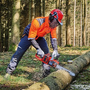 Einhell Power X-Change GP-LC 36/35 Li-Solo akkus láncfűrész fatörzset vág az erdőben.