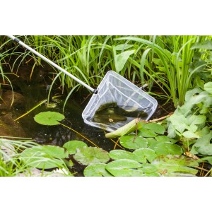 Heissner 35 cm-es tavi merítőháló használat közben, egy kerti tó tisztításához, tündérrózsákkal.