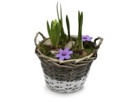 Tavaszi kosaras összeültetés 3 növényes