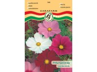 Pillangóvirág színkev. vetőmag