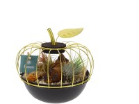 Szakállbromélia-kompozíció alma alakú cserépben cserépátmérő kb. 17 cm