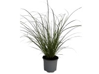 GROW by OBI GROW by OBI