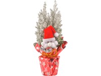 Téli kompozíció oregoni hamisciprussal cserépátmérő: kb. 9 cm