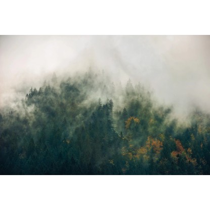 Komar vlies fotótapéta Tales of the Carpathians 300 cm x 200 cm