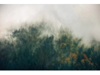 Komar vlies fotótapéta Tales of the Carpathians 300 cm x 200 cm