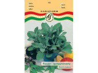 Zsálya vetőmag Zsálya vetőmag