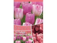 Triumph Pink tulipán mix