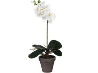 Mica Decorations lepkeorchidea művirág cserépben 13 cm átmérő x 48 cm fehér