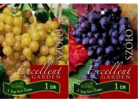 Gyökércsomagolt szőlő bogyós gyümölcsű növények Gyökércsomagolt szőlő bogyós gyümölcsű növények