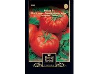 Paradicsom sultanf1 royal 3 Paradicsom sultanf1 royal 3