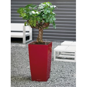 Fényes piros Lechuza Cubico Premium virágtartó 40x40 cm növénnyel.