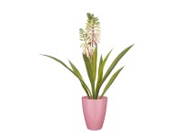 Mica művirág aloe vera cserépben 43 cm x átmérő 30,5 cm krémszínű