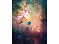 Komar vlies fotótapéta Enlightenment 200 cm x 250 cm