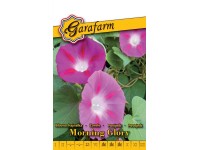 Bíboros hajnalka színkev. vetőmag