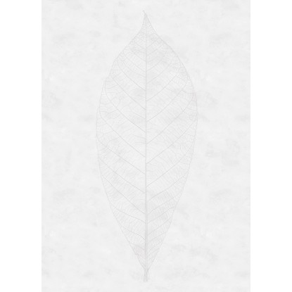 Komar vlies fotótapéta Decent Leaf 200 cm x 280 cm