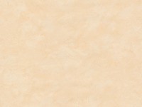 Tapéta Bézs 9925-36 Tapéta Bézs 9925-36