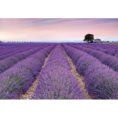 Komar vlies fotótapéta Provence 400 cm x 260 cm