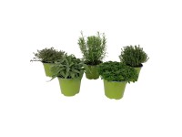 GROW by OBI GROW by OBI