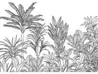 Komar vlies fotótapéta Savanna 350 cm x 250 cm Komar vlies fotótapéta Savanna 350 cm x 250 cm