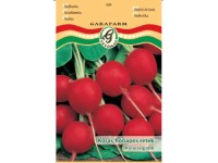 Retek Cherry B. vetőmag Retek Cherry B. vetőmag