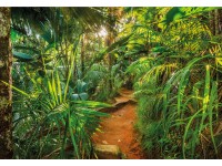 Komar fotótapéta Jungle Trail 368 cm x 254 cm FSC Komar fotótapéta Jungle Trail 368 cm x 254 cm FSC