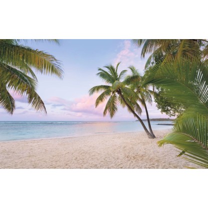 Komar vlies fotótapéta Paradise Morning 400 cm x 250 cm