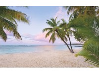 Komar vlies fotótapéta Paradise Morning 400 cm x 250 cm