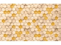Komar vlies fotótapéta Woodcomb Birch 400 cm x 250 cm