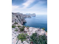 Komar nemszőtt fotótapéta Bizarre Coast 200 cm x 250 cm