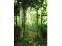 Komar nemszőtt fotótapéta Greenhouse 200 x 280 cm Komar nemszőtt fotótapéta Greenhouse 200 x 280 cm