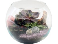 Zöldnövény kompozíció üveg kaspóban cserépátmérő: kb. 20 cm