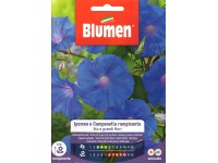 Blumen Futó kék hajnalka