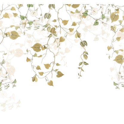 Komar vlies fotótapéta Hedera 300 cm x 280 cm