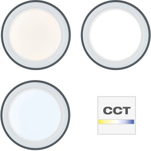 Okos LED mennyezeti lámpa Tessy, Ø 39 cm, állítható fényszínnel és RGB szegéllyel.