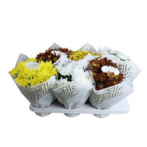 Különböző színű Krizantémok tálcán, krizantémok sárga, fehér és vörösbarna színben.