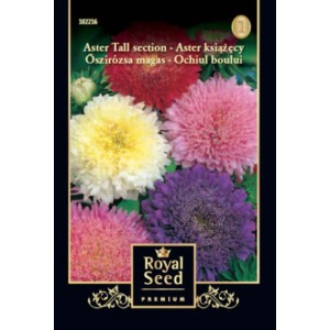 Aster 'Tall Section' vetőmag csomag színes őszirózsa virágokkal.