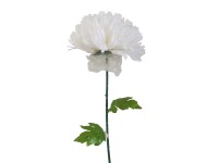 Krizantém szálas mix Krizantém szálas mix