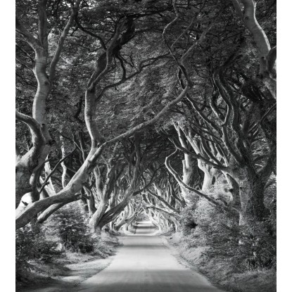 Vlies fotótapéta Forevenue 250 cm x 280 cm